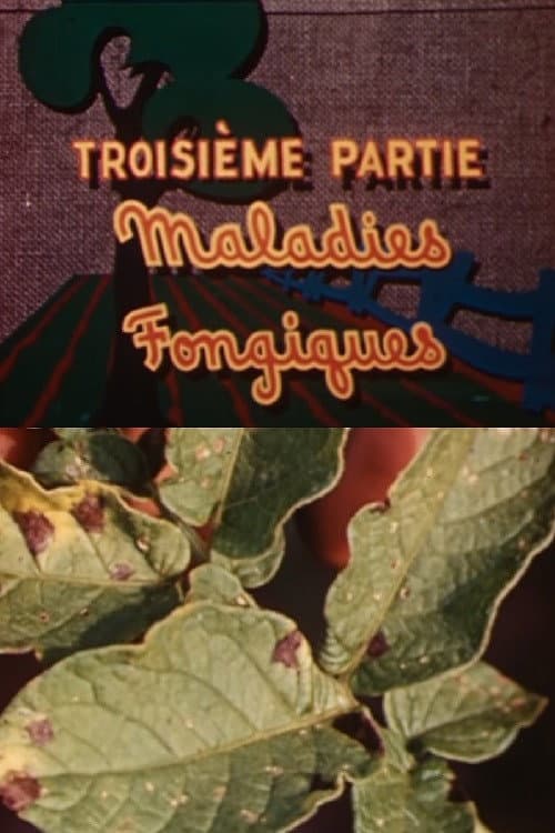 Poster for The Enemies of the Potato: Fungal Diseases