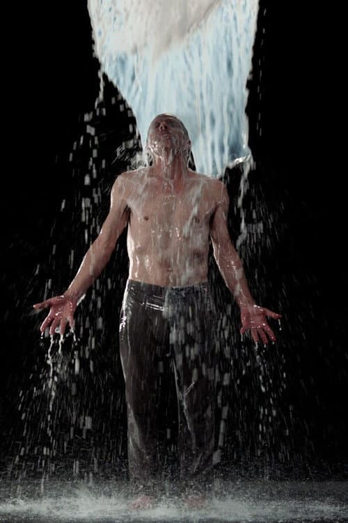 Poster for Inverted Birth