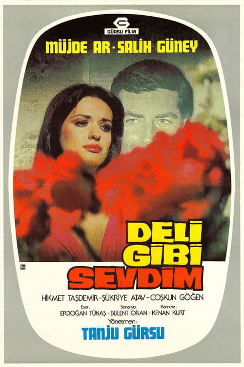 Poster for Deli Gibi Sevdim