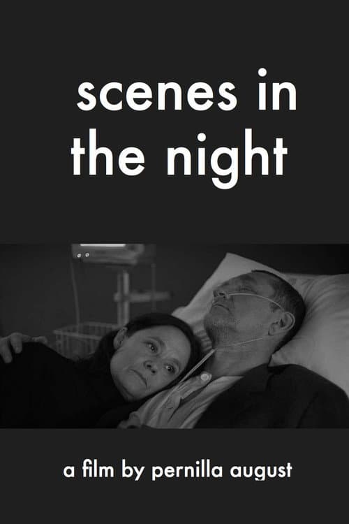 Poster for Scenes in the Night