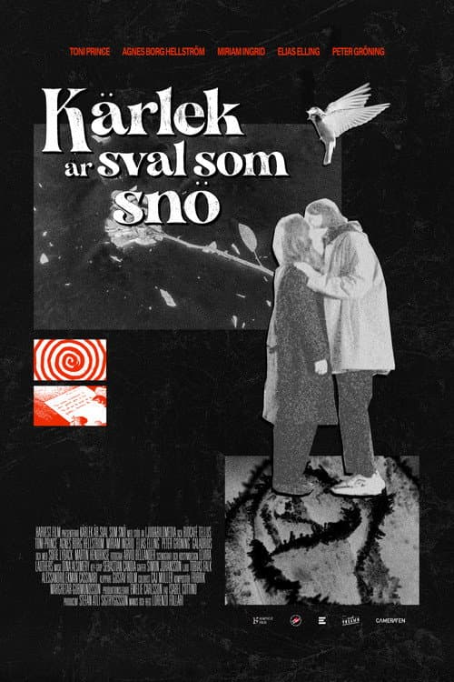 Poster for Of Love and Snow