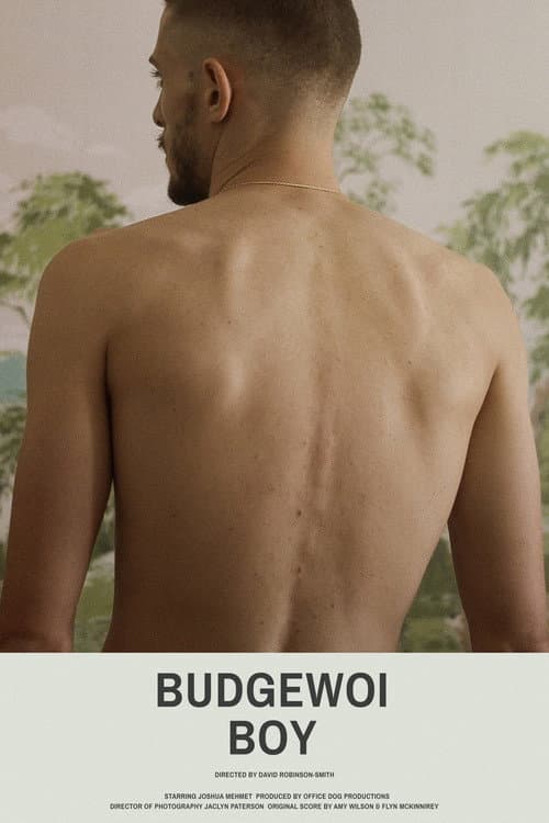 Poster for Budgewoi Boy