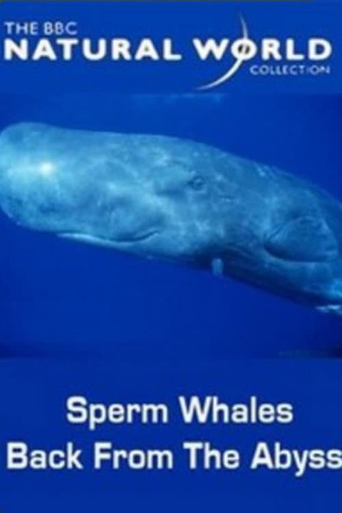 Poster for Sperm Whales: Back from the Abyss