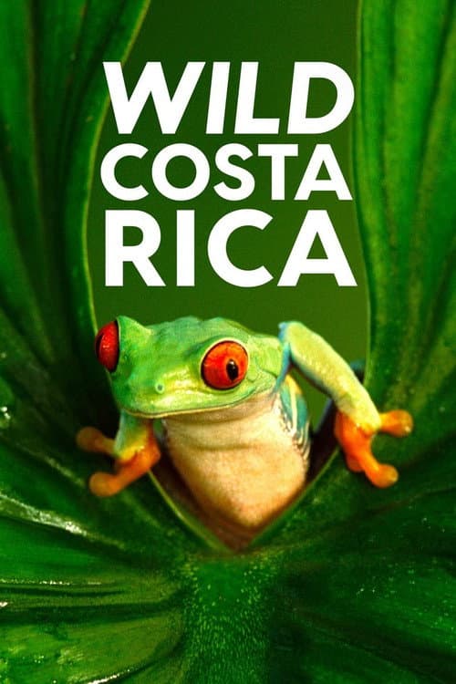 Poster for Wild Costa Rica