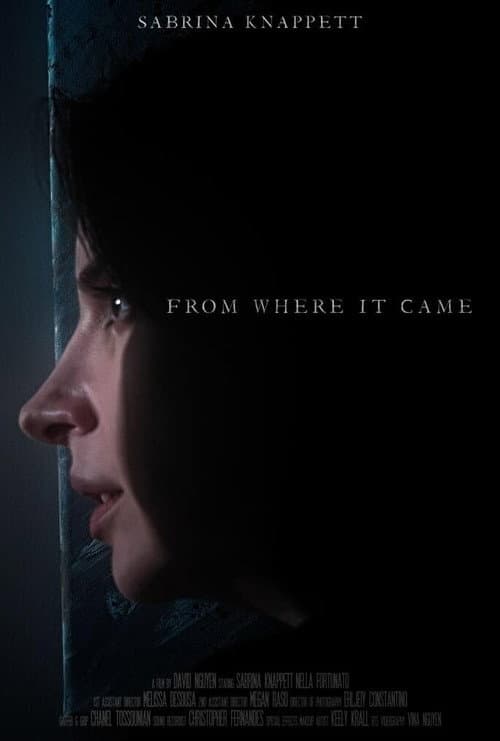 Poster for From Where It Came
