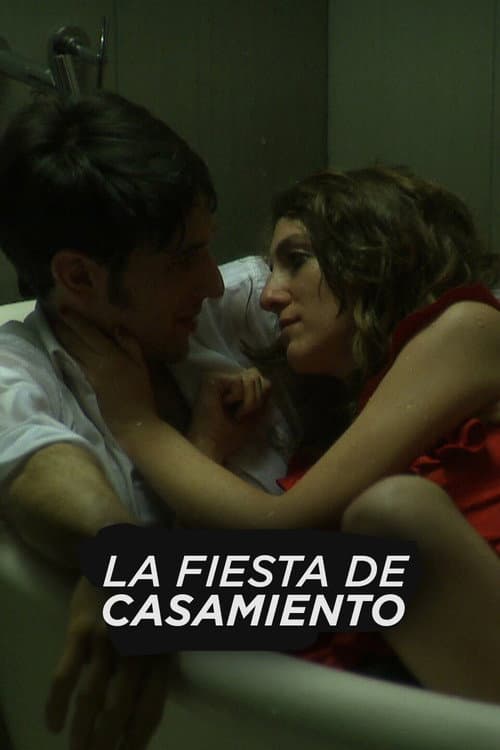 Poster for The Wedding Party