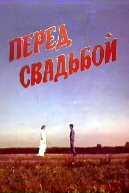 Poster for Before the Wedding