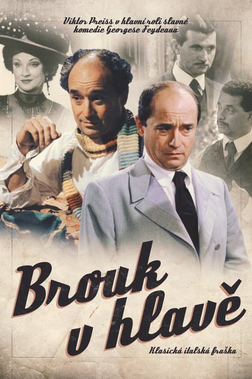 Poster for Brouk v hlavě