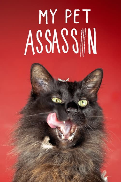 Poster for My Pet Assassin