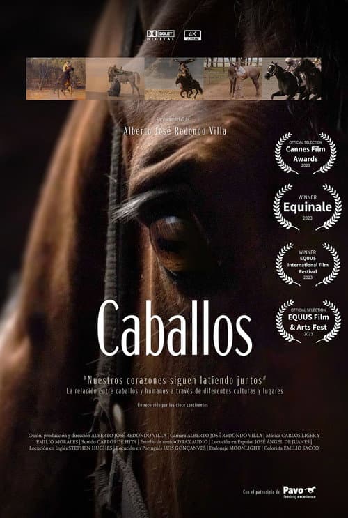 Poster for Caballos
