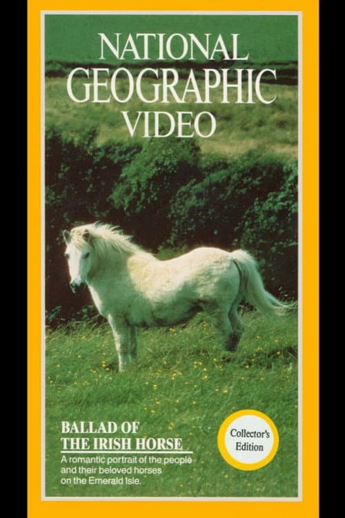 Постер до фільму «Ballad of the Irish Horse»