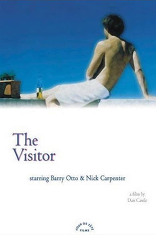 Poster for The Visitor