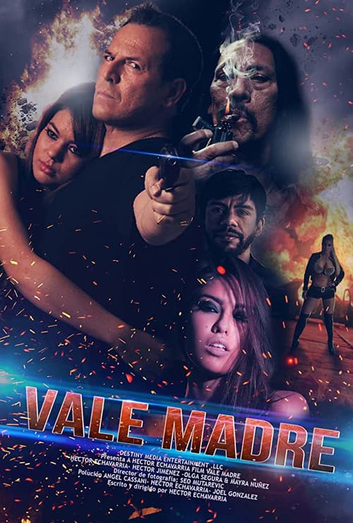 Poster for Vale madre