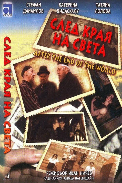 Poster for After the End of the World