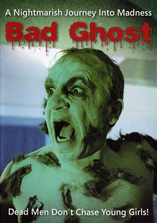 Poster for Bad Ghost