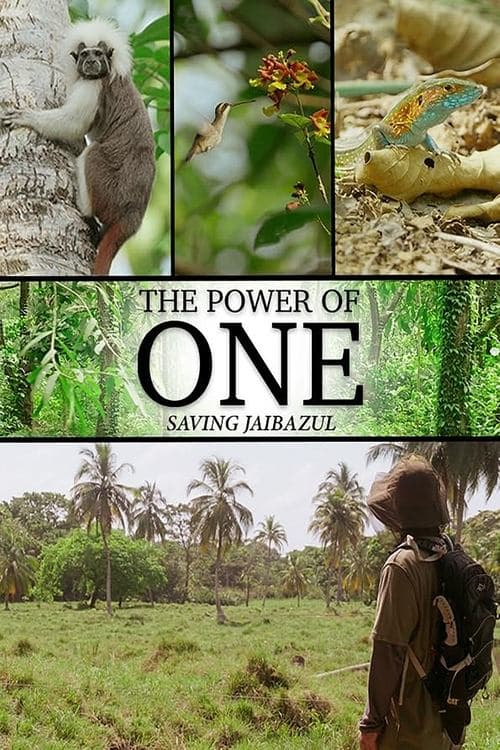 Poster for The Power of One