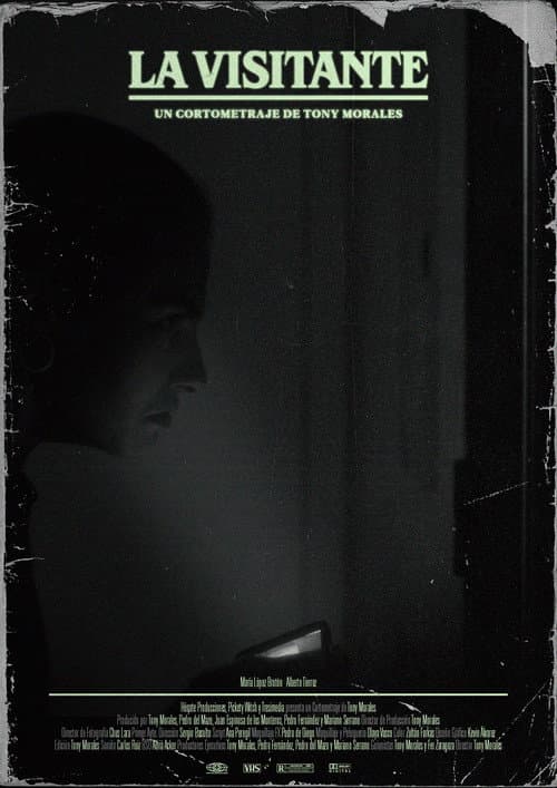 Poster for La visitante