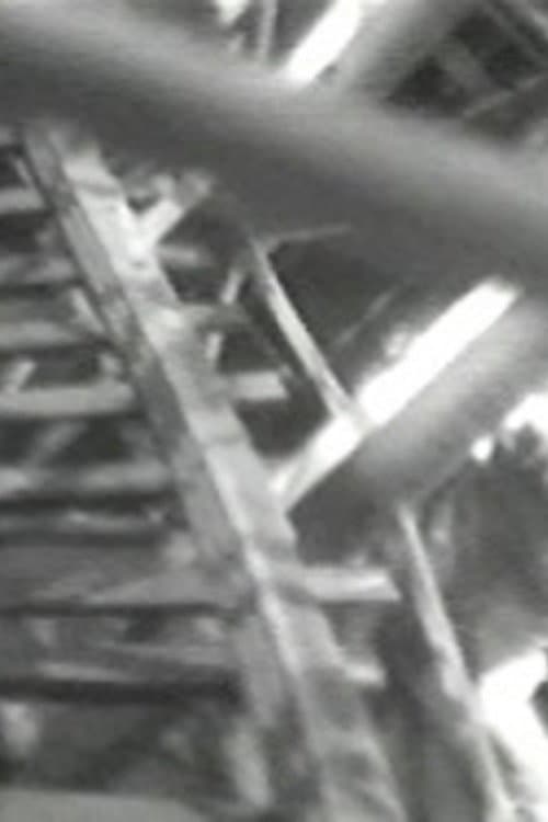 Poster for Four Motion Studies