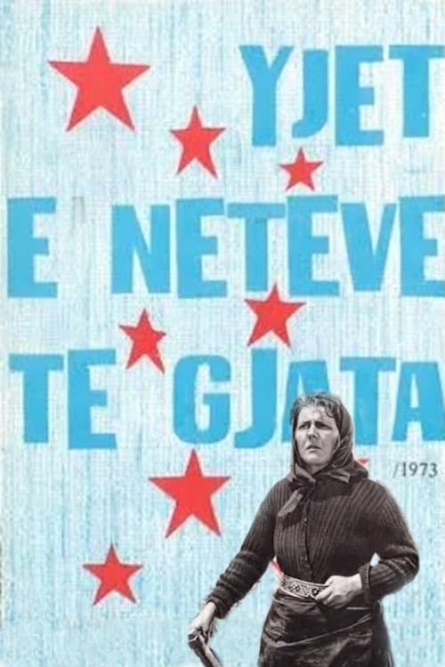 Poster for Stars of Long Nights