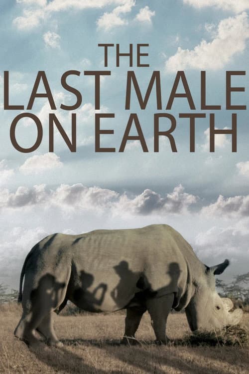 Poster for The Last Male on Earth