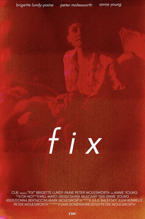Poster for Fix