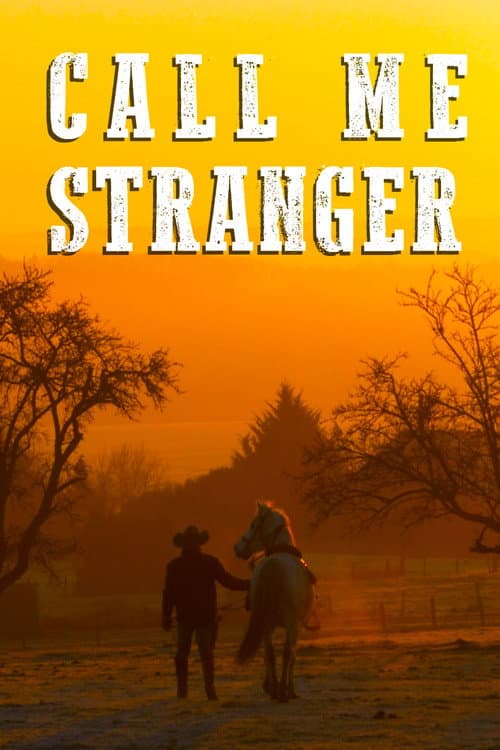 Poster for Call Me Stranger