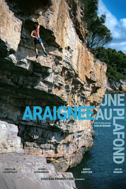 Poster for Une Araignée au Plafond