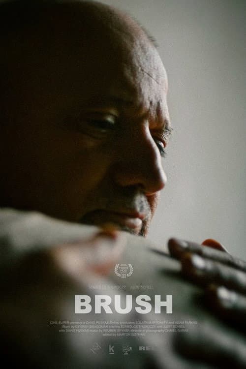 Poster for Brush