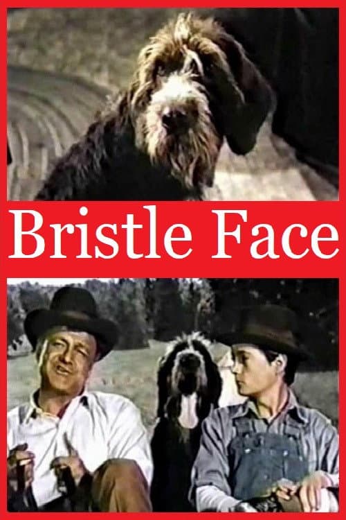 Poster for Bristle Face