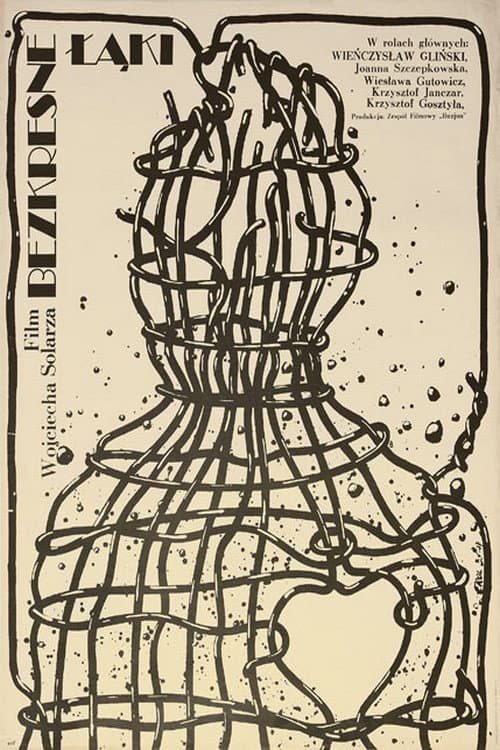 Poster for Bezkresne łąki