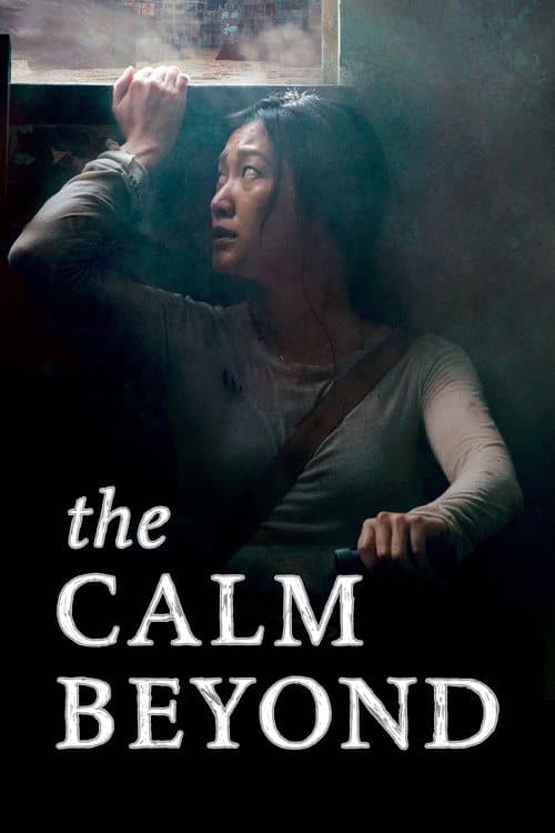 Poster for The Calm Beyond