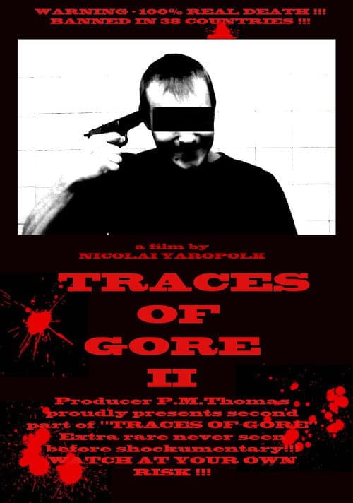 Poster for Traces of Gore II