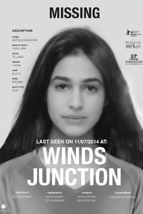 Poster for Winds Junction