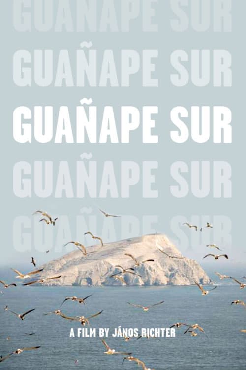 Poster for Guañape sur