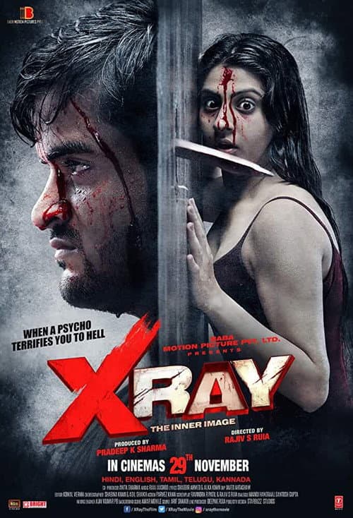 Poster for X Ray: The Inner Image