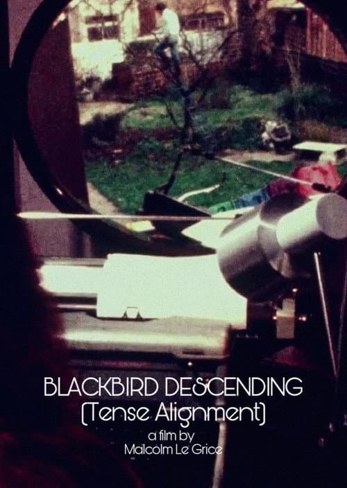 Poster for Blackbird Descending - Tense Alignment