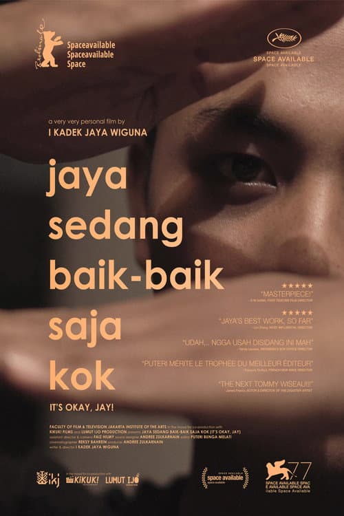 Poster for It's Okay, Jay!
