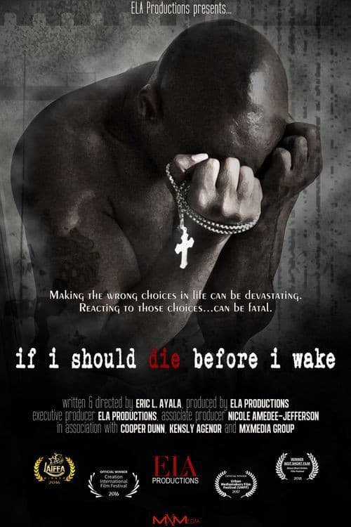 Постер до фільму «If I Should Die Before I Wake»