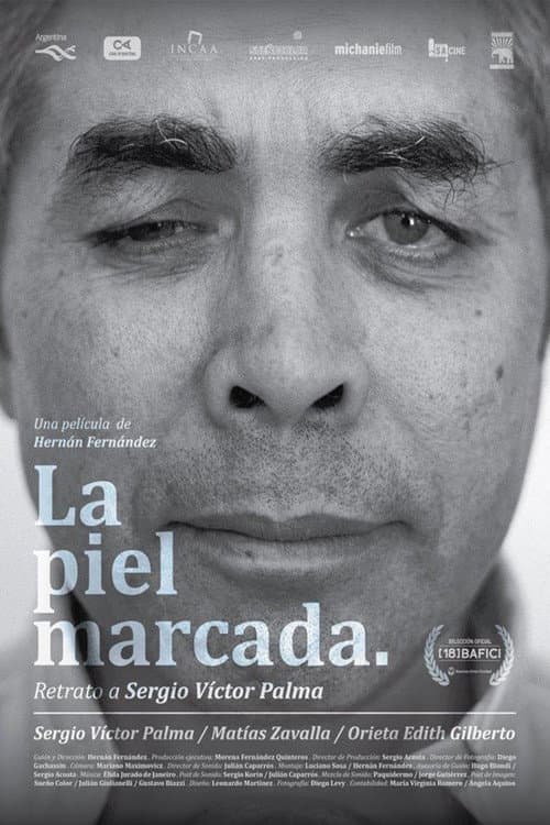 Poster for Scars
