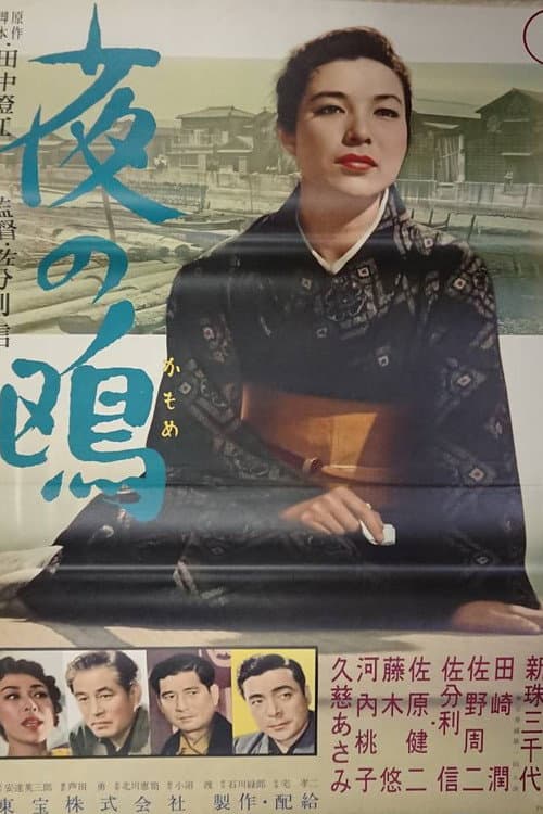 Poster for Seagull of the Night
