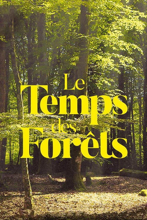 Poster for The Time of Forests