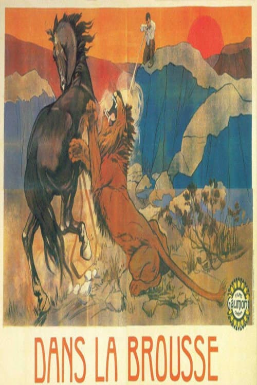 Poster for In the Bushes