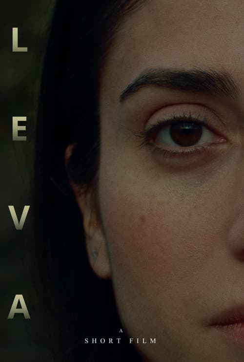Poster for L E V A