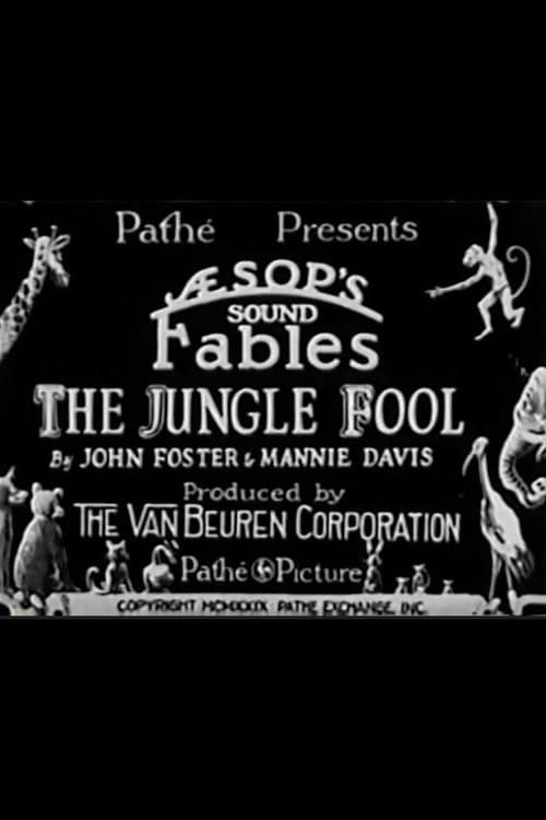 Poster for The Jungle Fool