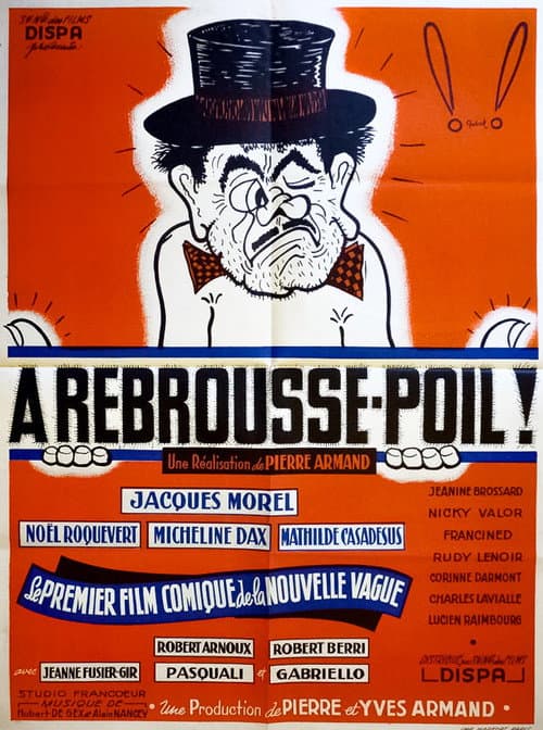 Poster for À rebrousse-poil