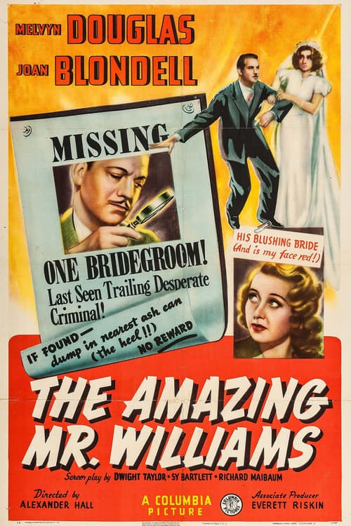 Poster for The Amazing Mr. Williams