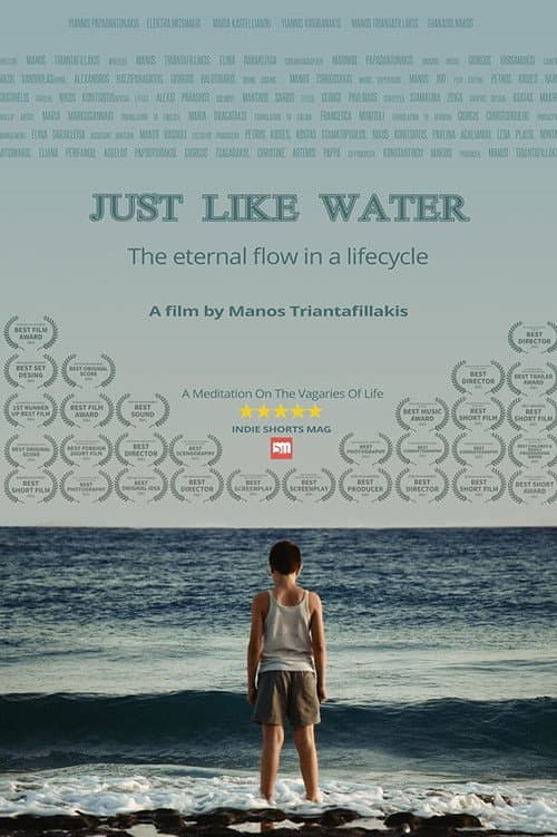 Poster for Just Like Water