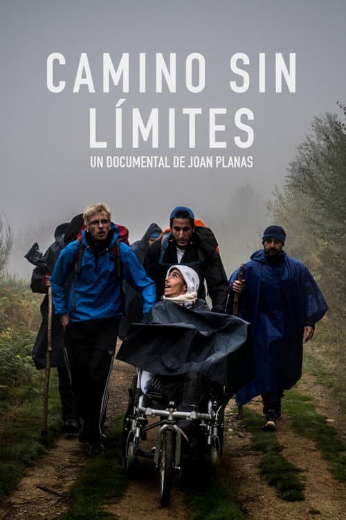 Poster for The Way Without Limits