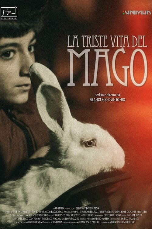 Poster for La triste vita del mago