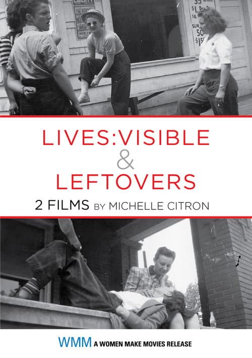 Poster for Lives: Visible